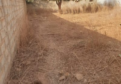 Un terrain de 467 M2 a somone cloturé alentours des aigrette